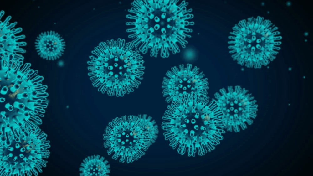 coronavirus 4 1 1 1000x562 1