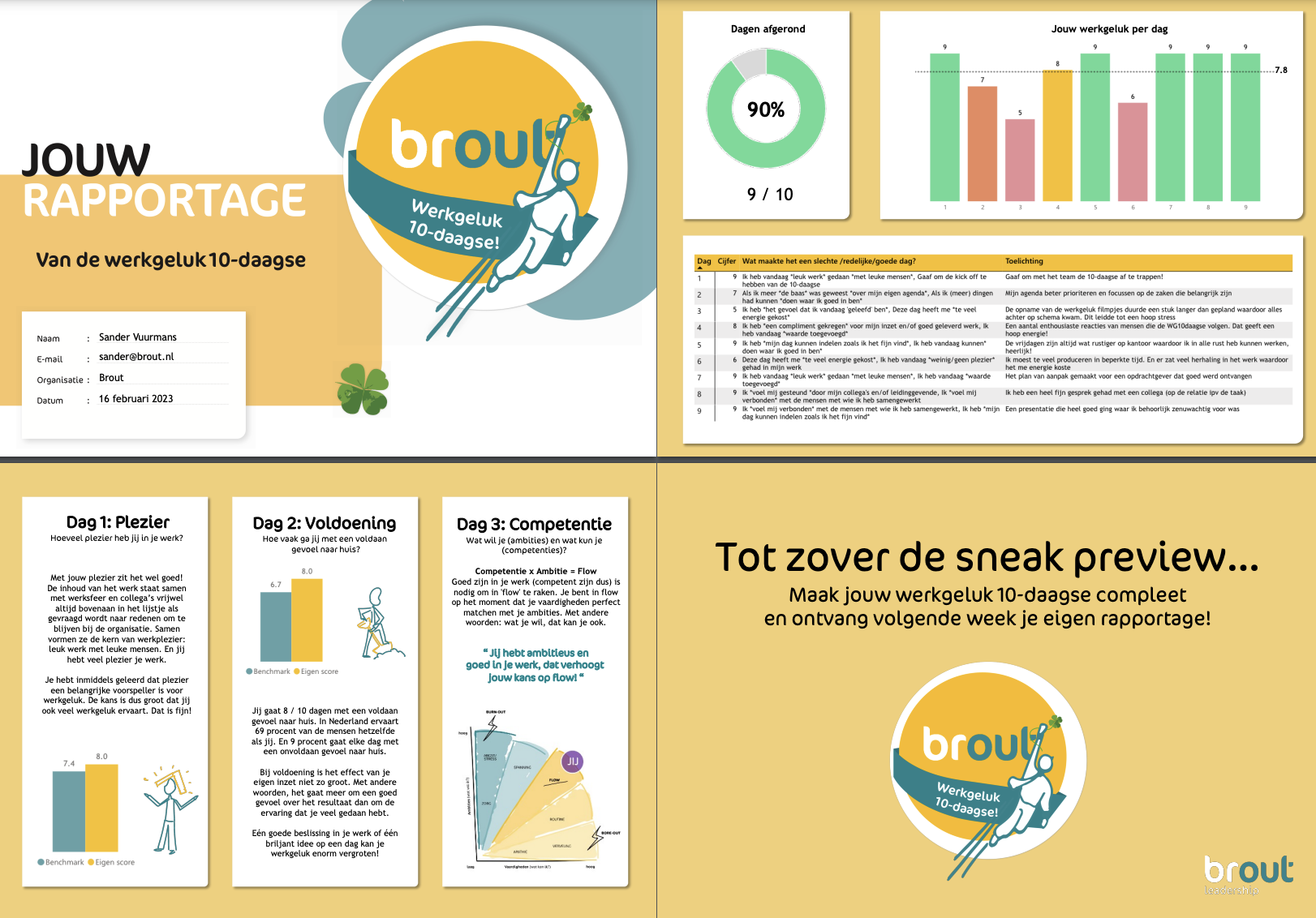 Voorbeeld rapportage werkgeluk