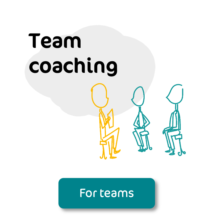 MP teamcoaching 2