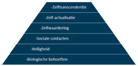 Vochtigheid Ver weg systematisch De Piramide van Maslow, theorie en praktijk - Brout